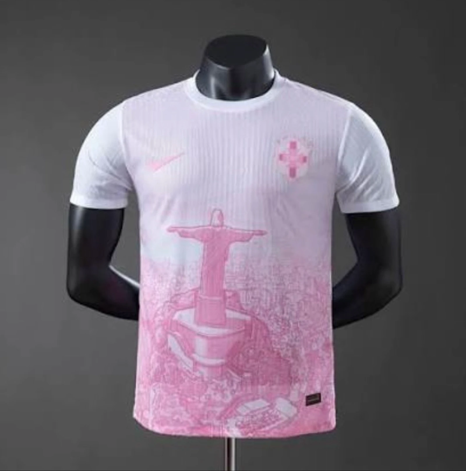 Equipacion Brasil x stussy rosa 